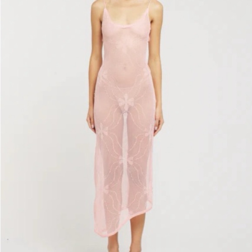 Asta Resort Pink Sheer Dress